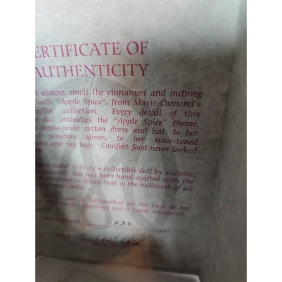 Marie Osmond Sugar and Spice Raggedy Ann RaggaMuffin Rag a Muffin Sculpted Porc - Picture 7 of 10